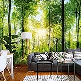 murimage Fototapete Wald 3D 366 x 254 cm inklusive Kleister Tapete Bäume Wohnzimmer Küche S