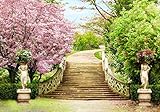 wandmotiv24 Fototapete Treppe Park Kirschbaum , XL 350 x 245 cm - 7 Teile, Fototapeten, Wandbild, Motivtapeten, Vlies-Tapeten, Parkweg, Kirschblüte, Wald M1092