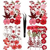 Sieman 64 Stück Rot Getrocknete Blumen Natürliche Gepresste Getrocknete Blumen für Harz, DIY Kerzen, Anhänger, Handyhüllen, Fotorahmen, Bath Bombs (Stil 3/64 Stück)