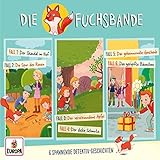 01/3er Detektiv-Box (Folgen 1/2/3)