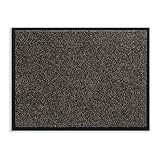 F & S Mars Fußmatte für den Innen- und Außenbereich, 80 x 120 cm, Farbe: graub