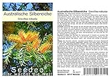 Seedeo Australische Silbereiche (Grevillea robusta) 50 S
