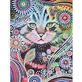 DPDP 5D-Diamant-Malerei nach Zahlen, Diamant-Malset für Erwachsene und Anfänger, für Heimdekoration, abstrakte Katze, 30 x 40
