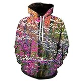 Unisex 3D Druck Hoodie Kapuzenpullover,Winter Fleece Hoodies Für Männer Lose Lange Ärmel Blume In Einer Glasflasche 3D Print Hooded Sweatshirt Warm Halten Streetwear Geschenk Für Freund W