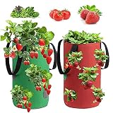 Pflanzen Tasche, 2 Stück Erdbeere Pflanzsack, Pflanzbeutel mit Griffe, Garten Gemüse Zuchtbeutel, Grow Tasche, Hängend Erdbeeren Pflanztaschen, für Erdbeeren, Kräuter, Blumen (3Gallon, 20x35CM)