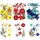 Diy Getrocknete Blumen Set Natürliche Blumen Blätter Gemischte Getrocknete Blumen Diy Gepresste Blumen Harz Gepresste Getrocknete Blumen Für Kunst Basteln Diy Harz Scrapbooking Handwerk Karten M