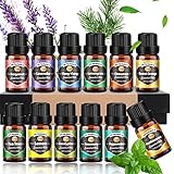 Ätherische Öle Set 12 x 10 ml, reiner Lavendel, Eukalyptus, Zitrone, Zitronengras, Süßorange, Teebaum, Pfefferminze, Bergamotte, Weihrauch, Rosmarin, Zimt und Ylang-Ylang