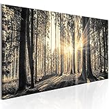 murando - Bilder Wald 135x45 cm Vlies Leinwandbild 1 tlg Kunstdruck modern Wandbilder XXL Wanddekoration Design Wand Bild Panoramabild - Waldlandschaft Natur Panorama Baum c-B-0077-b