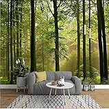 XHXI 3D moderne Tapeten-Primärwaldlandschafts-Wandfarbe für Wohnzimmer-Wand-Sofa 3D Wandbild fototapete 3d Tapete effekt Vlies wandbild Schlafzimmer-300cm×210