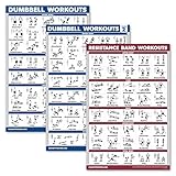 Palace Learning 3er Pack: Hanteltraining Poster Volume 1 & 2 + Widerstandsbänder Übungen, Set mit 3 Workout-Diagrammen (laminiert, 45,7 x 68,6 cm)
