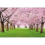 GREAT ART® XXL Poster – Kirschblütenbaum – Wandbild Dekoration Frühling Natur Landschaft Allee Cherry Blüten Sakura Bloom Spring Blumen Wandposter Fotoposter Wanddeko Bild (140 x 100 cm)