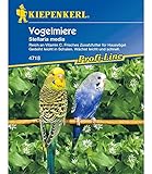 Kiepenkerl Vogelmiere,1