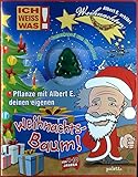 Ich weiss was! Pflanze mit Albert E. deinen eigenen Weihnachtsbaum. Mit Crowie-Samenkapsel zum Einp