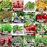 Samen Gemüse Set'indoor-Mix' - perfektes Saatgut (100% Natursamen) für Balkon, Gewächshaus, Wohnung, Terasse, Fensterbank - nahezu 100%