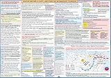 Luftfahrt-Wetter- und Diagramme, Einschränkungen und empfohlene Techniken (Poster – Größe: 68,6 x 48,3 cm)