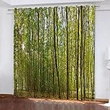 ZCFGG Vorhänge für kleine Fenster Modern klassisch landschaftlich 170 x 200cm Gardinen Blickdicht - Eleganter Vorhang mit Ösen für S