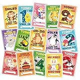 Baby-Meilenstein-Karten mit 32 verschiedenen Tierkönigin-Motiven, harte Andenken, Geschenkbox, Verkäufer aus Großb