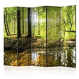 murando Raumteiler Wald Baum Natur Foto Paravent 225x172 cm beidseitig auf Vlies-Leinwand Bedruckt Trennwand Spanische Wand Sichtschutz Raumtrenner Home Office grün c-B-0183