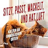 Sitzt, passt, wackelt und hat Luft: Katzen an unmöglichen O