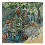 Camille Pissarro《Apfelpflücken》Leinwand Wandkunst Malerei Kunstwerk Reproduktion Bild für moderne Dekoration 70x70cm R