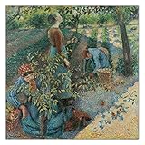 Camille Pissarro《Apfelpflücken》Leinwand Wandkunst Malerei Kunstwerk Reproduktion Bild für moderne Dekoration 70x70cm R