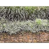 PerfectHD Zaunsichtschutz - Motiv Steinmauer - Sichtschutz für den Garten - 2,50 x 1,80 x 0,19 m - 9 Streifen - 30 V