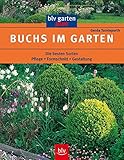 Buchs im Garten: Die besten Sorten Pflege · Formschnitt · Gestaltung (blv garten plus)