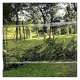 XBSXP Wasserdichter Outdoor-Planenvorhang mit rostfreien Ösen Wetterbeständiger Patio-Klarvorhang für Pergola, Veranda, Pavillon, Cabana (Color : Clear, Size : 4x6m)