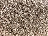 havatex Rasenteppich Kunstrasen mit Noppen 1.550 g/m² - Rot Blau Grau Braun Beige oder Anthrazit | Meterware | wasserdurchlässig | Balkon Terrasse Camping, Farbe:Beige, Größe:200 x 350