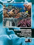 Das Meerwasseraquarium: Von der Planung bis zur erfolgreichen Pflege (Meeresaquaristik)