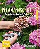 Pflanzenschnitt: So bleibt der Garten in F