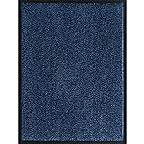 Systafex Schmutzfangmatte Fußmatte Bodenmatte Türmatte Flurteppich Schmutzmatte Tür Matte Teppich Blau (80cm x 120cm)