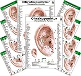 Ohrakupunktur -professional- Set XL - 74 Ohrakupunktur Karten + 2 Mini Poster für Übergewicht, Nikotinabusus, Ischialgie, Alkoholabusus, Kopfschmerzen, Tinnitus, Hörsturz, HWS Syndrom, Heuschnupfen, Nahrungsmittelallergie, Schlafstörung