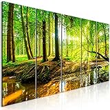 murando Acrylglasbild Wald 200x80 cm 5 Teilig Wandbild auf Acryl Glas Bilder Kunstdruck Moderne Wanddekoration - Landschaft Natur c-B-0241-k