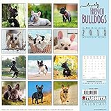 Lovley French Bulldogs 2018: Kalender 2018 (Wonderful World)