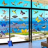 Fenstersticker Vögeln, Fensterbilder Anti-Kollision, Fensteraufkleber Schmetterlinge,Fenster Abziehbilder Statisch Selbstklebend, 49 Pcs Groß Größe Vogelschutz Aufkleber für Wintergärten, mit 1 Rak