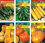 Frankonia-Samen/Samen-Sortiment / 3 Kürbissorten und 3 Zucchinisorten/Zucchini Black Beauty/Zuchini Partenon F1, Mehrfarbig, BU12