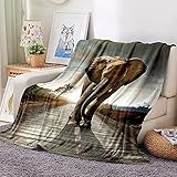 SJYHNB Flanell Kuscheldecke Wohndecke Sofadecke TV Decke Tiere & Elefanten Fleecedecke Bettdecke Tagesdecke Flanelldecke 150x200