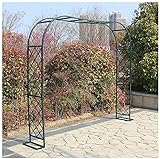 HSWYJJPFB Rosen Bogen Gartenbogen Kletterpflanzen Outdoor Hinterhof Blumenständer Laube Garten Hochzeit Metallbogen Rosenbogen Partydekorationen Garten Torbogen 0923(Color:Green;Size:300 * 230cm)