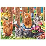 DIY 5D Diamant Malerei Vollbohrer Kit Round drill Gartenkatze 40x50cm Diamond Painting Bilder Set Diamant Malen nach Zahlen Crystal Kreuzstich Stickerei Strass Mosaik Gemälde Home Wand Decor (16x20in)