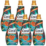 Coral Flüssigwaschmittel Color Gel, blumiger Duft Secret Garden 132WL (6 x 1,1L)