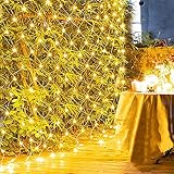 QDY LED Lichternetz, Lichternetz Lichterkette Netz Mit Fernbedienung & Timer, 8 Modi Lichterkettennetz Außen Für Zimmer Partydekoration,2 warm White,3x2m 200LED