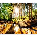 murando Fototapete Wald 350x256 cm Vlies Tapeten Wandtapete XXL Moderne Wanddeko Design Wand Dekoration Wohnzimmer Schlafzimmer Büro Flur Waldlandschaft Sonne grün Natur Wasser c-B-0267