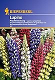 Sperli Blumensamen Lupinen mehrjährig, Mischung, grü