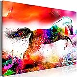 murando - Bilder Pferd 90x60 cm Vlies Leinwandbild 1 TLG Kunstdruck modern Wandbilder XXL Wanddekoration Design Wand Bild - laufende Tiere bunt Abstrakt Farbflecken wie gemalt g-C-0308-b