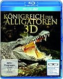 Königreich der Alligatoren [3D Blu-ray]