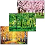 GREAT ART 3er Set XXL Poster – Saisonale Wälder – Frühling Sommer Herbst Wald Baum Wiese Allee Baumkrone Jahreszeiten Dekor Inneneinrichtung Wandbild Plakat je 140 x 100