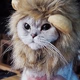 Bello Luna Löwe Haar Kopfbedeckung für kleinen Hund und Katzen, Löwe Mähne Perücke Welpen Cosplay Kostüm für Halloween Weihnachten Ostern Festival Party Ak