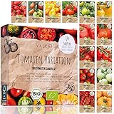 BIO Tomaten Samen Set - 14 Sorten Tomatensamen aus biologischem Anbau, samenfestes Tomaten Saatgut, Bio Tomatensamen Set für Küche, Balkon und Garten, 14er Pflanzensamen S