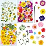 LABOTA 117 Stück Gepresste Blumen, Gemischte Getrocknete Blätter für Kunst Basteln DIY Harz Scrapbooking Handwerk Karten M